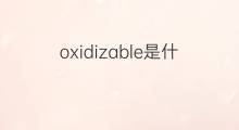 oxidizable是什么意思 oxidizable的中文翻译、读音、例句