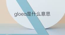 gloea是什么意思 gloea的中文翻译、读音、例句