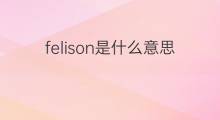 felison是什么意思 felison的中文翻译、读音、例句