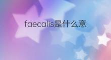 faecalis是什么意思 faecalis的中文翻译、读音、例句