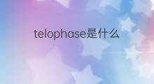telophase是什么意思 telophase的中文翻译、读音、例句