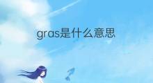 gras是什么意思 gras的中文翻译、读音、例句