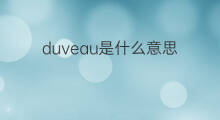 duveau是什么意思 duveau的中文翻译、读音、例句