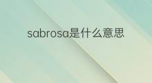 sabrosa是什么意思 sabrosa的中文翻译、读音、例句