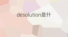 desolution是什么意思 desolution的中文翻译、读音、例句