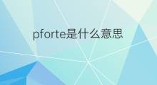 pforte是什么意思 pforte的中文翻译、读音、例句