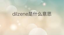 dilzene是什么意思 dilzene的中文翻译、读音、例句