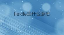 flexile是什么意思 flexile的中文翻译、读音、例句