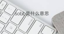 sobb是什么意思 sobb的中文翻译、读音、例句