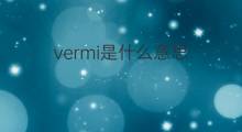 vermi是什么意思 vermi的中文翻译、读音、例句