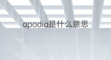 apodia是什么意思 apodia的中文翻译、读音、例句