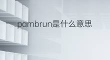 pambrun是什么意思 pambrun的中文翻译、读音、例句