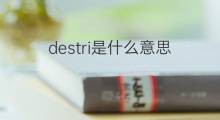 destri是什么意思 destri的中文翻译、读音、例句