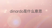 dinardo是什么意思 dinardo的中文翻译、读音、例句