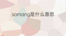 somang是什么意思 somang的中文翻译、读音、例句