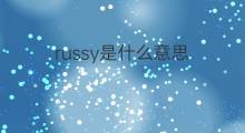 russy是什么意思 russy的中文翻译、读音、例句