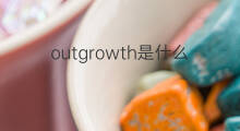 outgrowth是什么意思 outgrowth的中文翻译、读音、例句