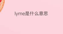 lyme是什么意思 lyme的中文翻译、读音、例句