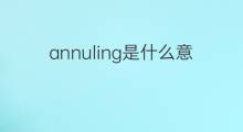 annuling是什么意思 annuling的中文翻译、读音、例句