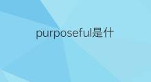 purposeful是什么意思 purposeful的中文翻译、读音、例句