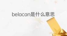 belacan是什么意思 belacan的中文翻译、读音、例句