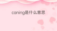 caning是什么意思 caning的中文翻译、读音、例句