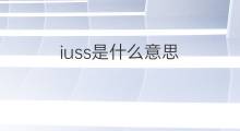 iuss是什么意思 iuss的中文翻译、读音、例句