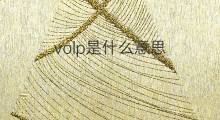 volp是什么意思 volp的中文翻译、读音、例句