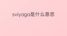 sviyaga是什么意思 sviyaga的中文翻译、读音、例句