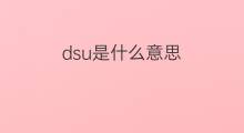 dsu是什么意思 dsu的中文翻译、读音、例句