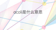 acoli是什么意思 acoli的中文翻译、读音、例句