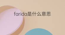 farida是什么意思 英文名farida的翻译、发音、来源