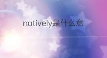 natively是什么意思 natively的中文翻译、读音、例句