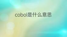cobol是什么意思 cobol的中文翻译、读音、例句