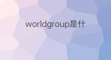 worldgroup是什么意思 worldgroup的中文翻译、读音、例句