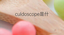 culdoscope是什么意思 culdoscope的中文翻译、读音、例句