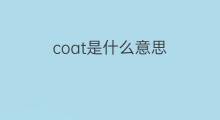 coat是什么意思 coat的中文翻译、读音、例句