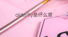 alderfly是什么意思 alderfly的中文翻译、读音、例句