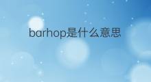 barhop是什么意思 barhop的中文翻译、读音、例句