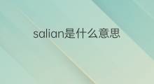 salian是什么意思 salian的中文翻译、读音、例句