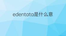 edentata是什么意思 edentata的中文翻译、读音、例句
