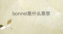 bonnel是什么意思 bonnel的中文翻译、读音、例句