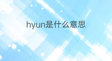 hyun是什么意思 hyun的中文翻译、读音、例句