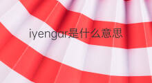 iyengar是什么意思 iyengar的中文翻译、读音、例句