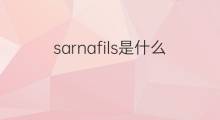sarnafils是什么意思 sarnafils的中文翻译、读音、例句