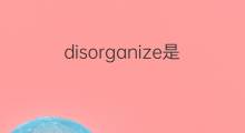 disorganize是什么意思 disorganize的中文翻译、读音、例句