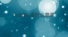 maldini是什么意思 maldini的中文翻译、读音、例句