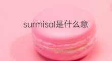 surmisal是什么意思 surmisal的中文翻译、读音、例句