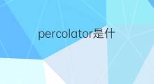 percolator是什么意思 percolator的中文翻译、读音、例句