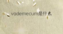 vademecum是什么意思 vademecum的中文翻译、读音、例句